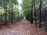 Orderbos 2