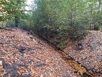 De Orderbeek 2