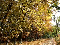 Volop herfst