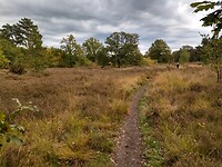 Nog een stuk heide