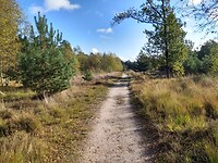 Natuurgebied Sonse vennen