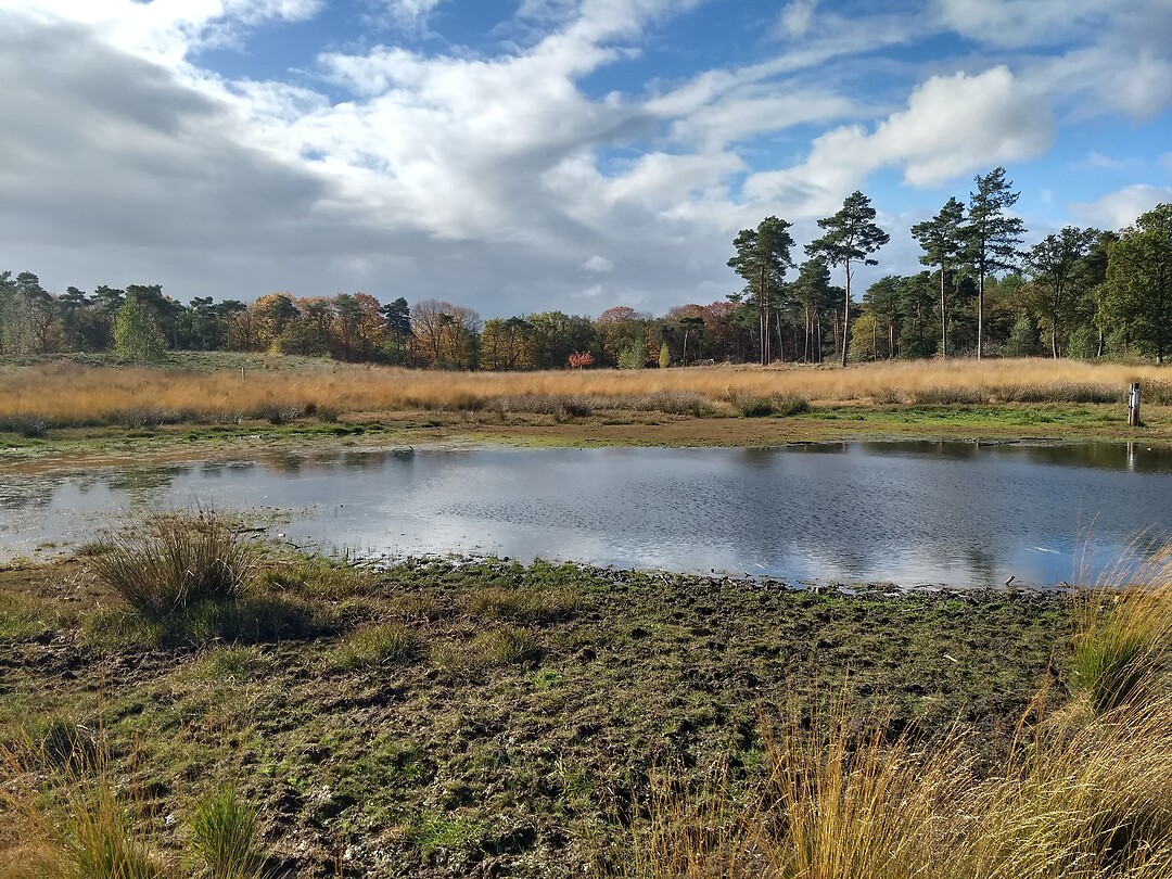 Langven