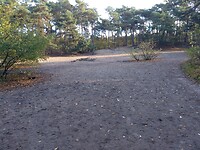 Zandverstuiving