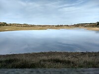 Het Vogelwater
