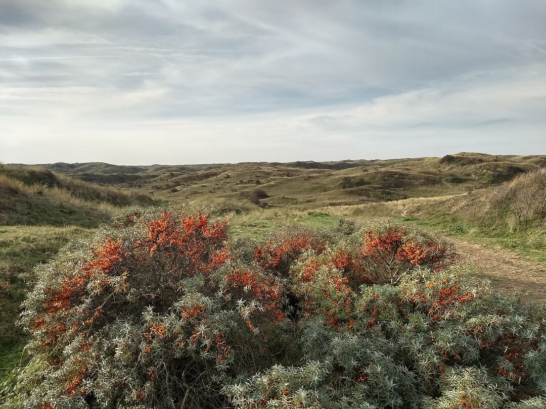 Mooi!