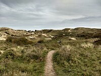 Weer terug door de duinen