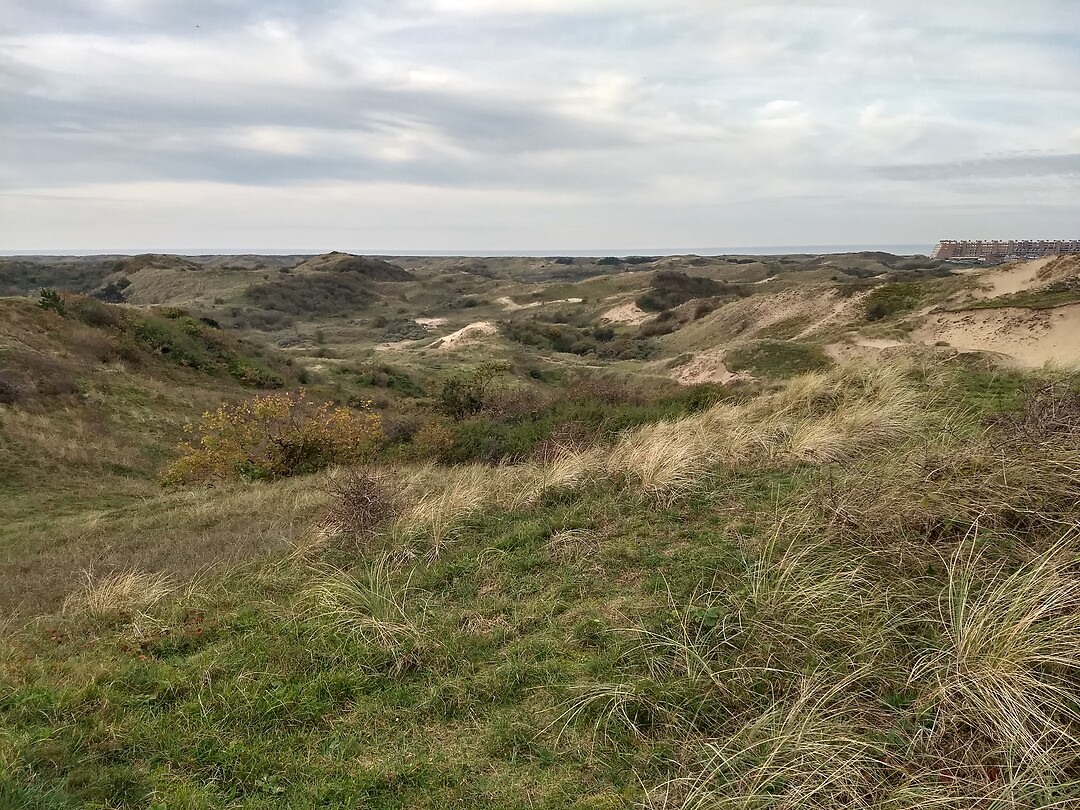 Uitzicht vanaf 35m boven NAP