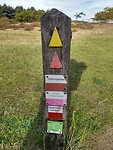 IMG_20221029_125406635_HDR