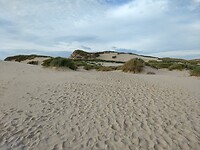 IMG_20221029_142055048