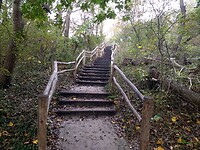 IMG_20221029_111020173