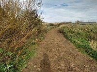 IMG_20221029_143759361_HDR
