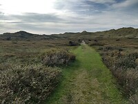 IMG_20221029_135903425_HDR