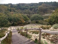 IMG_20221029_114220447_HDR