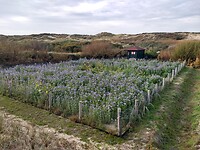 IMG_20221029_144458493_HDR