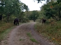 IMG_20221029_121131514_HDR