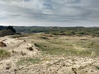 IMG_20221029_114234858_HDR