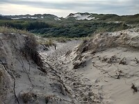 IMG_20221029_141259704_HDR