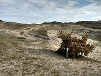 IMG_20221029_132140321_HDR