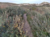 IMG_20221029_141649385_HDR