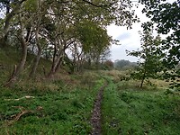 IMG_20221029_103222848_HDR
