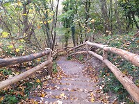 IMG_20221029_110832884