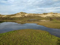 IMG_20221029_135734495
