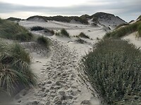 IMG_20221029_141928587_HDR