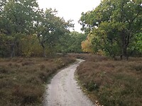 IMG_20221029_122729150