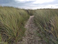 IMG_20221029_141820900_HDR