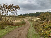 IMG_20221029_112515421_HDR