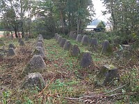 IMG_20221029_104859685