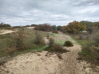 IMG_20221029_110543793_HDR