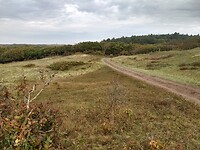 IMG_20221029_113155350_HDR