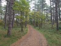 IMG_20221029_112745966