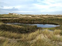 IMG_20221029_142657149_HDR