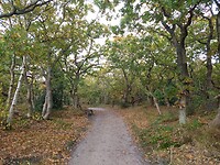 IMG_20221029_122418317