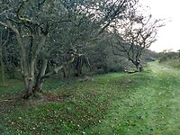 IMG_20221029_134500986_HDR