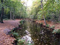 Herfst!