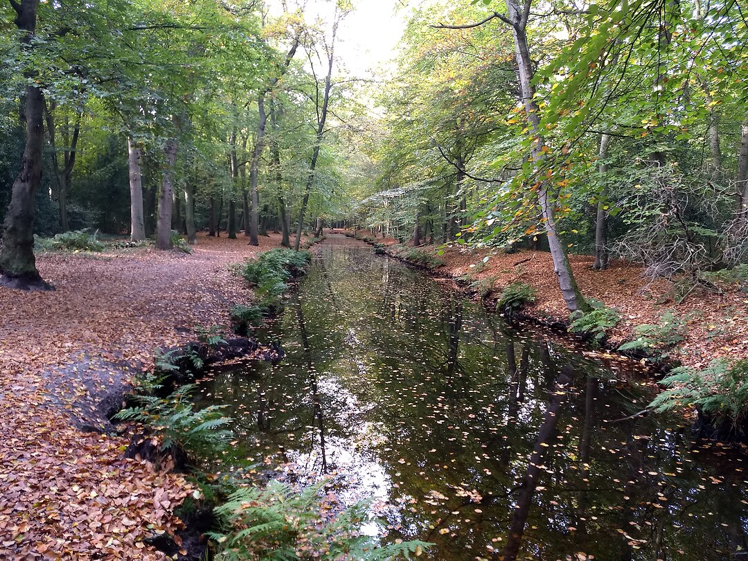 Herfst!