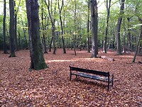 Terug op het landgoed