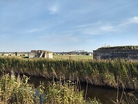 Bunkers in de polder