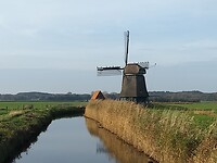 De Philestijnse molen