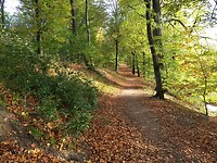 Herfstbos landgoed Rozendaal