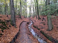 De Beekhuizer beek