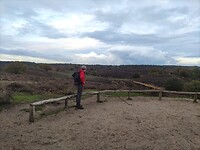 Op de Kraaienberg aan de rand van het Harikhuizerveld
