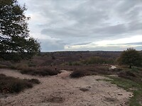 Harikhuizerveld