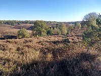 Uitzicht over het Harikhuizerveld