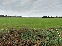 Zilvensche Broek