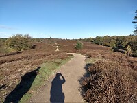 Over het Harikhuizerveld naar de Posbank