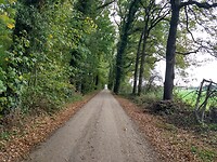 Landelijke lanen na Eerbeek